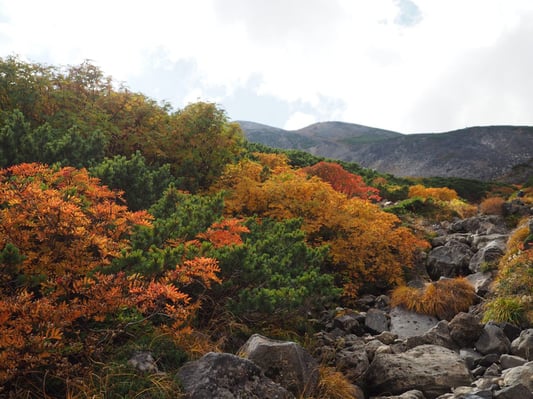 norikura_hiking_autumn