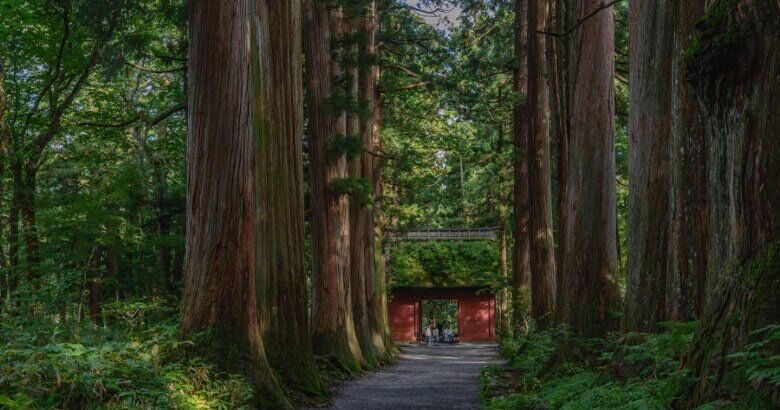 RT_togakushi_nagano