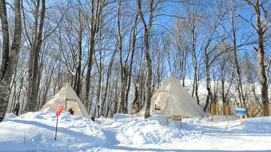 hakuba-mountain-habor-winter (1)