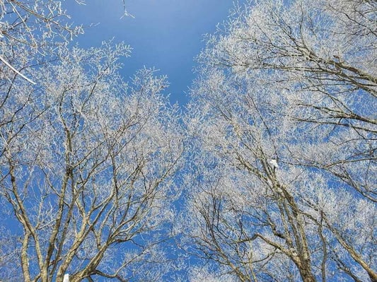 hakuba-mountain-habor-winter (3)