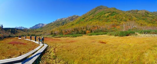 hakuba-tsugaike-autumn (1)