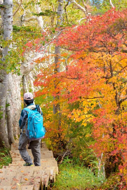 hakuba-tsugaike-autumn (13)