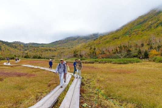 hakuba-tsugaike-autumn (14)