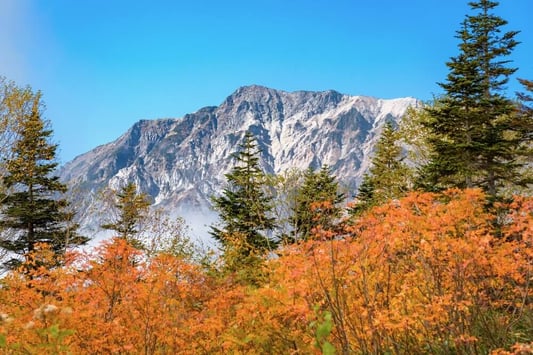 hakuba-tsugaike-autumn (3)