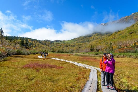 hakuba-tsugaike-autumn (5)