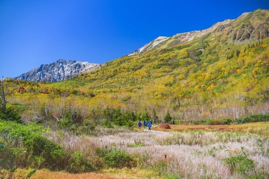 hakuba-tsugaike-autumn (6)