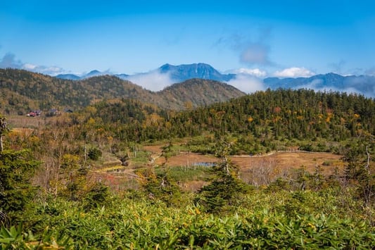 hakuba-tsugaike-autumn (7)