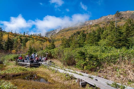 hakuba-tsugaike-autumn (8)