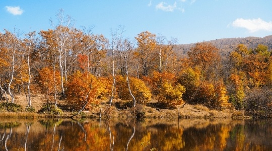 japanese_alps_norikura_maime