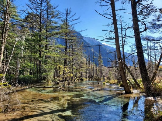 kamikochi_dakesawa2