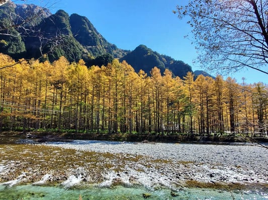 kamikochi_kaamatsu