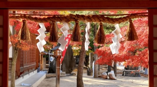 matsumoto_autumn_yohashira_shrine_2