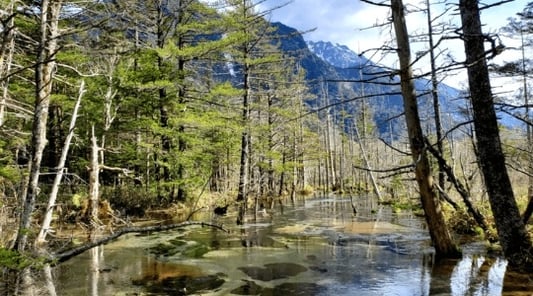 matsumoto_summer_kamikochi_2