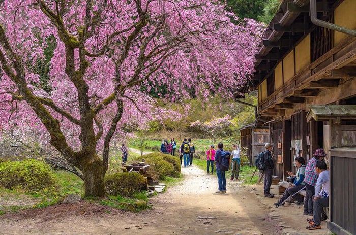 nakasendo (18)