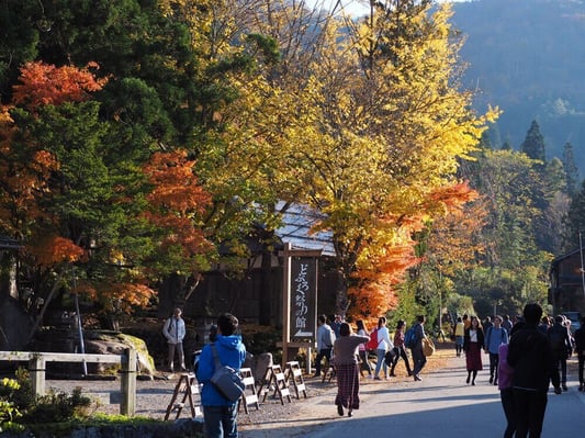 shirakawago-10