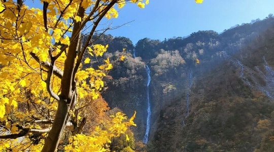 shomyo-fall-autumn (1)