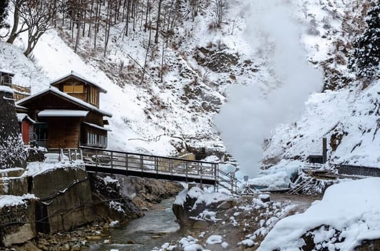 snow-monkey-nagano-japan-8