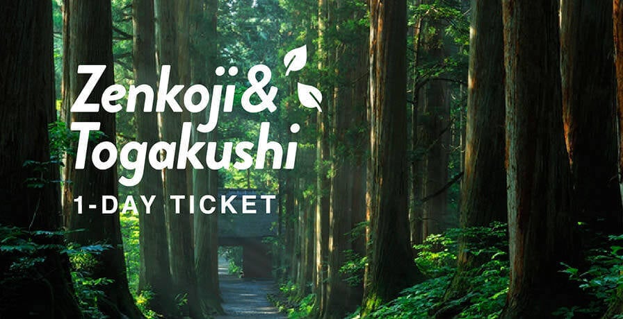 tourism_tickets_thumb_togakushi