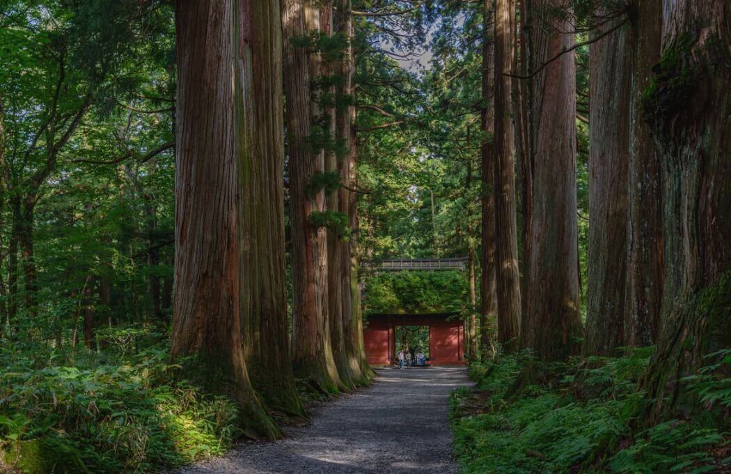 togakushi_nagano