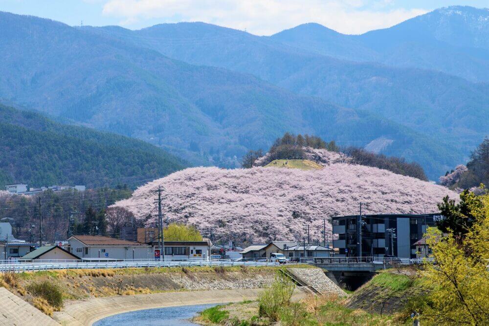 20190418-_DSC5245-Kobo-Visit-Matsumoto2-1619x1080