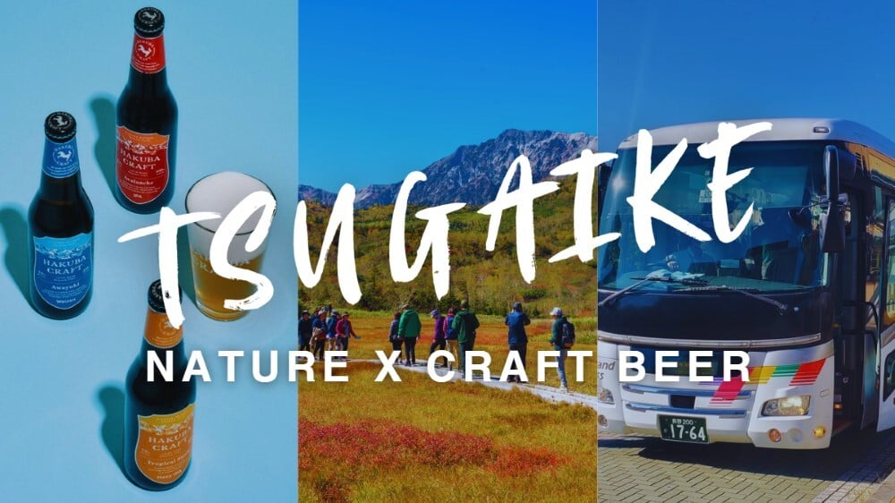 Cheers to Nature: Discover Craft Beer Bliss in Tsugaike Kogen with HAKUBA Craft Beer