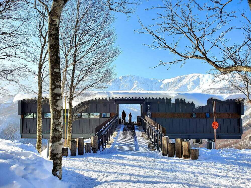 hakuba-mountain-habor-winter (1)