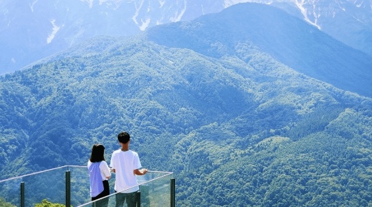iwatake