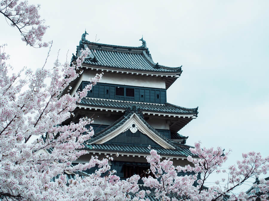 matsumoto_castle_spring_1