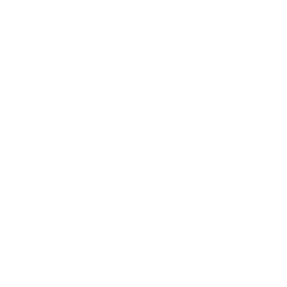 ski-icon